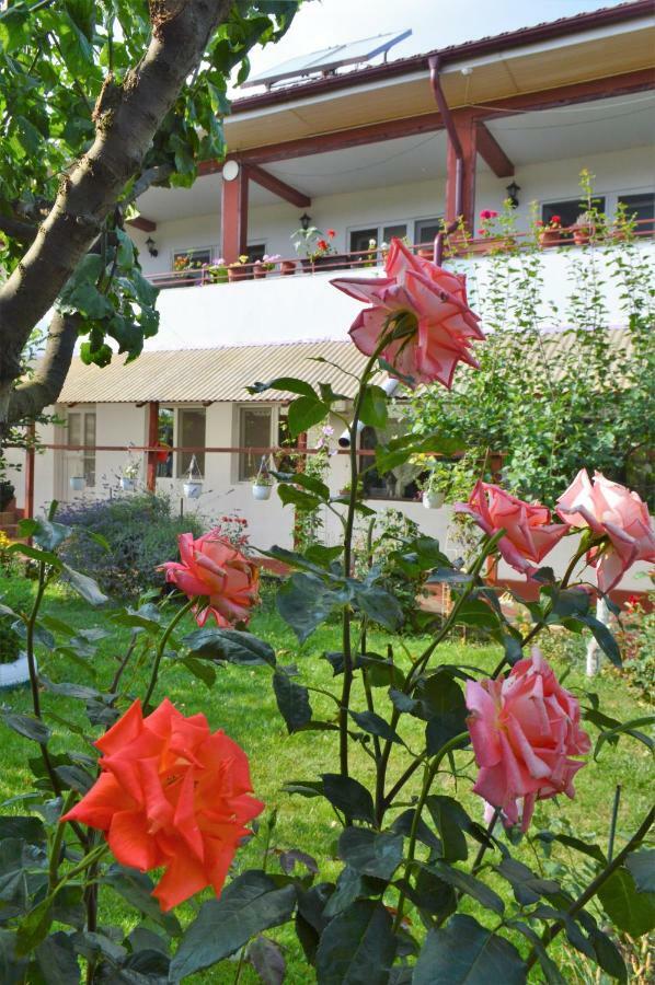 Hotel Casa Gia Costinesti Esterno foto