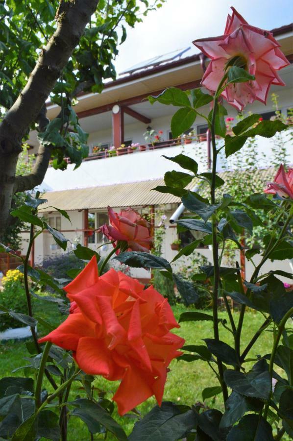Hotel Casa Gia Costinesti Esterno foto